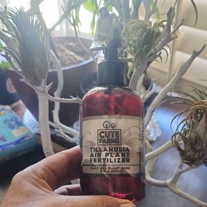 Red Tillandsia Air Plant Fertilizer